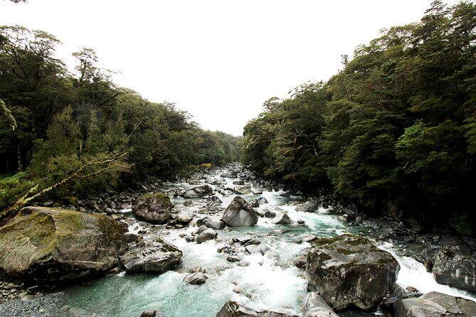 9 Day South to North Island NZ Private Tour from Queenstown - FAQ