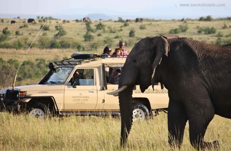 9-day Wildebeest Migration Safari on a Land Cruiser 4x4 jeep - The Sum Up