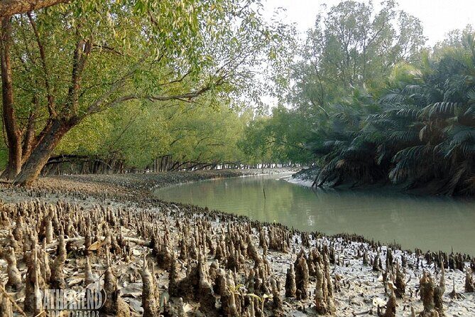 9 Day World Heritage Tour in Bangladesh Dhaka, Sundarbans - Exploring the Old and the Sacred: Bagerhat and the Sundarbans