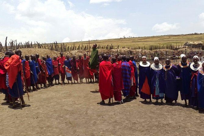 9 Days / 8 Nights Join group Safari - The Value: Is It Worth the Price?