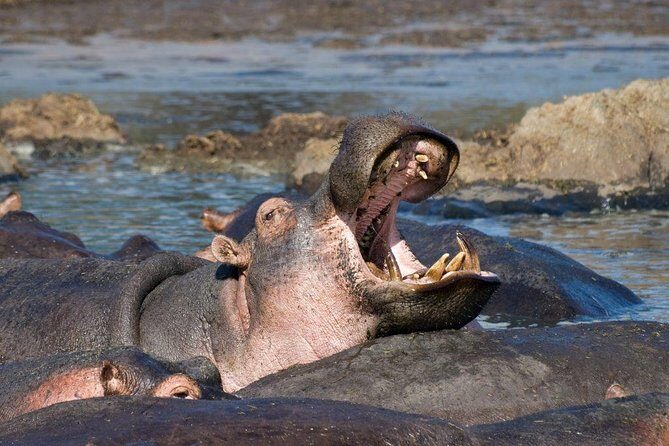 9 Days / 8 Nights Join group Safari - A Few Considerations