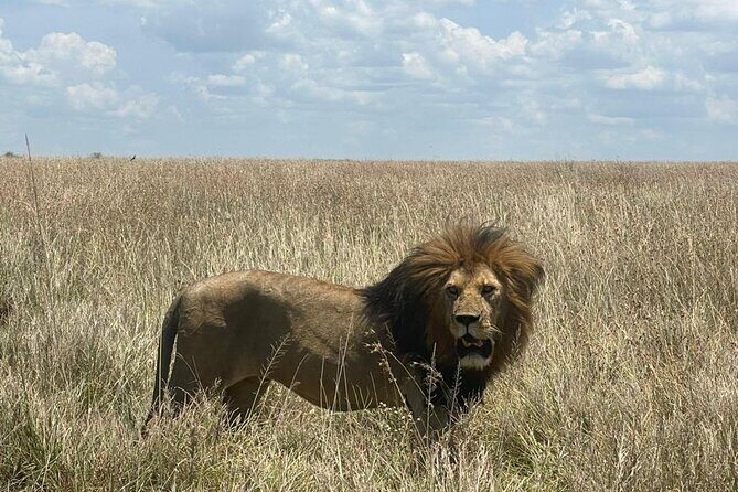 9 Days 8 Nights Walking Safari - Key Points