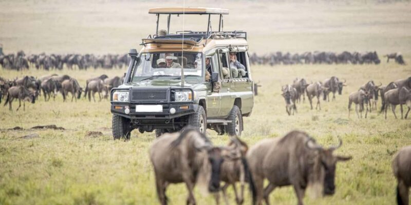 9 Days Discover Kenya Best National Parks Safari on 4x4 Jeep - Key Points
