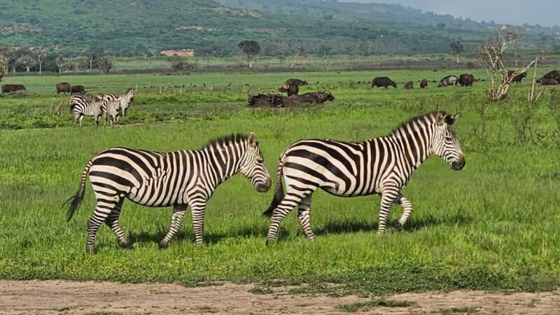9 Days Discover Rwanda Burundi by Motorcycle - Key Points
