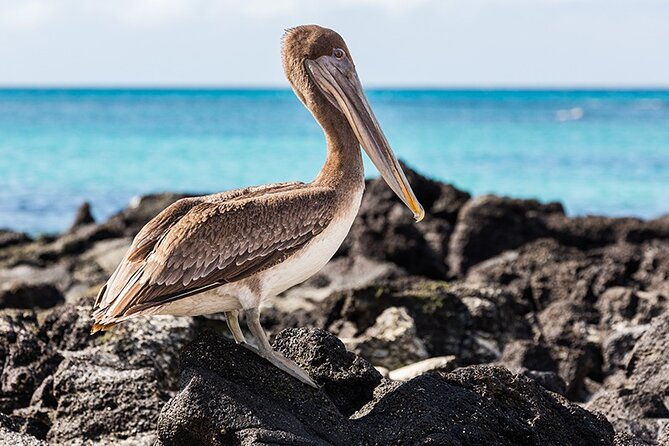 9-days-galapagos-island-hopping