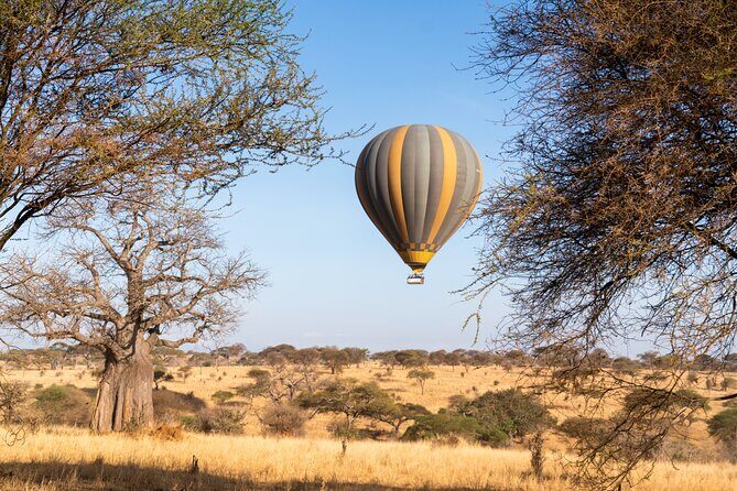 9 Days Great Migration Safaris with Kojuu Safaris Africa-Luxury. - Day 3: Serengeti National Park – The Endless Plains