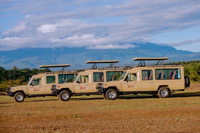 9 Days Great Migration Safaris with Kojuu Safaris Africa-Luxury. - Day 7: Final Game Drive and Transfer to Karatu