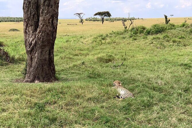 9-Days High End Road and Air Kenya Safari - Final Thoughts  