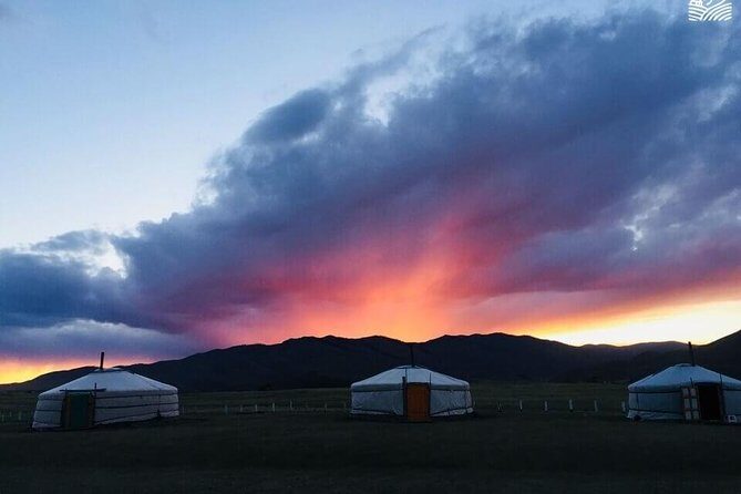 9 Days Horse Trekking to Mongolian Heartland - Who Is This Tour Perfect For?