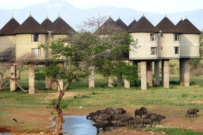 9 Days Kenya Classic Lodge Safari - The Sum Up: Who Will Love This Safari?