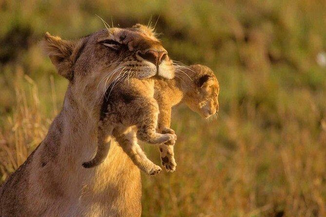 9 Days Kenya Classic Lodge Safari - FAQ