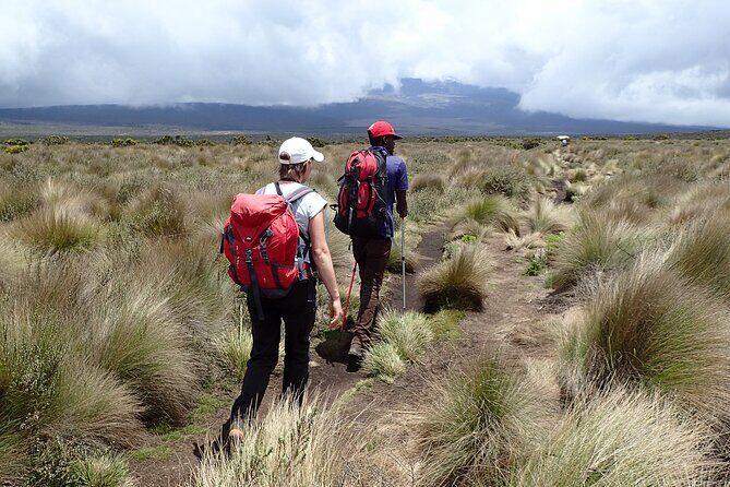 9 Days Kilimanjaro Climb via Lemosho Route - The Sum Up