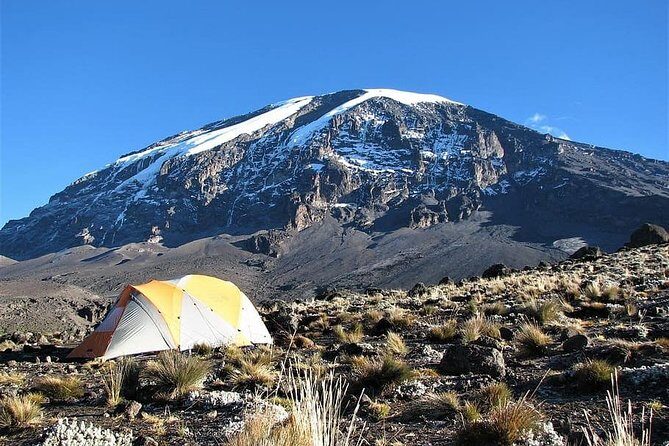 9 Days Kilimanjaro Hiking or Climbing via Northern Circuit route - Key Points