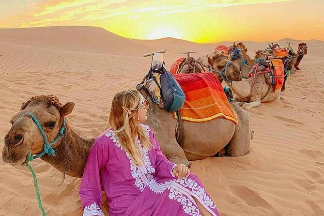 9 Days Morocco Imperial Cities & Desert Tour from Marrakech - The Sum Up