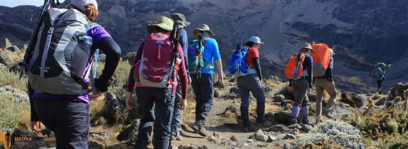 9 Days Mount Kilimanjaro Climbing  Northern Circuit Route - Key Points
