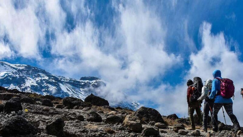 9 Days Mount Kilimanjaro Climbing  Northern Circuit Route - Final Thoughts: Who Should Consider This Tour?