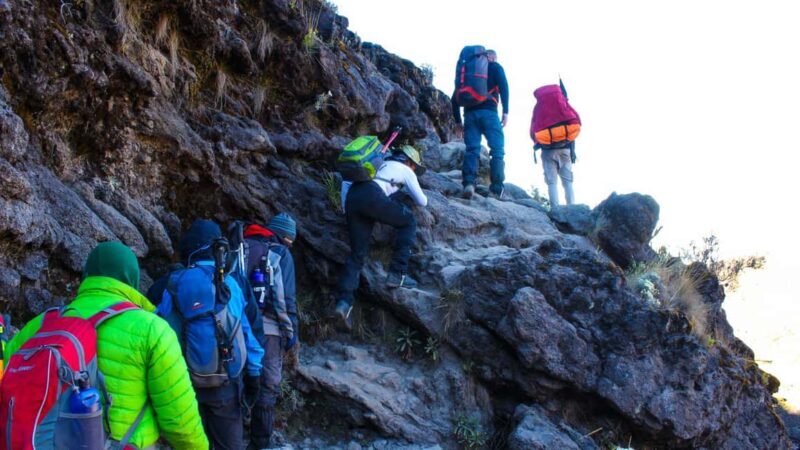 9 Days Mount Kilimanjaro Climbing  Northern Circuit Route - FAQs