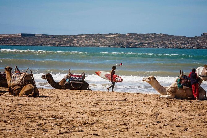 9 Days Private Morocco Desert Tour from Marrakech - What Really Makes This Tour Shine