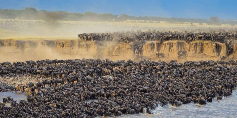 9 Days Serengeti Highlights of Tanzania Safari Tour - Final Thoughts: Who Is This Tour For?
