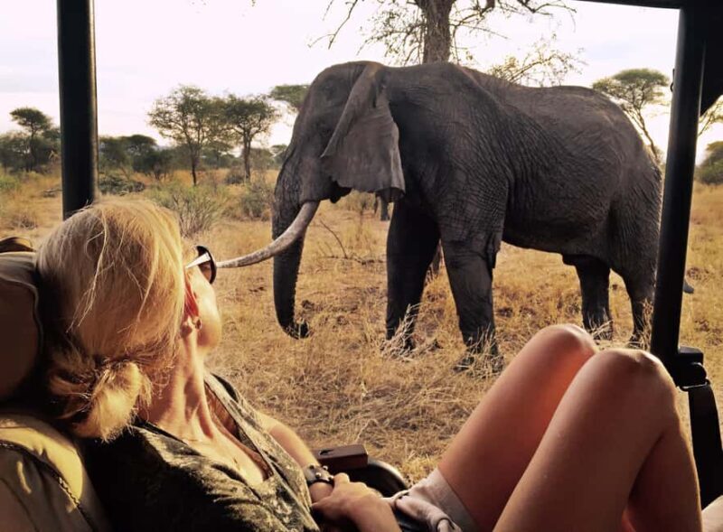 9 Days Serengeti Wildebeest Migration Safari - Final Thoughts