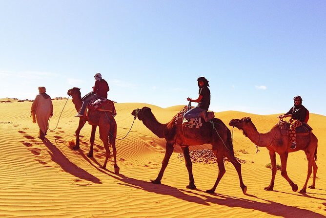 9 Days Southern Oasis, Kasbahs & Desert Morocco Cultural Tour from Marrakech - Practical Details and What You Can Expect