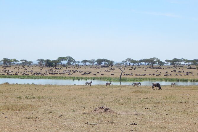 9 Days Tanzania Exhaustive Safari - Final Thoughts: Who’s This Tour For?