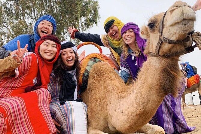9 Days Tour in Morocco from Casablanca or Marrakech - Practical Details and Considerations