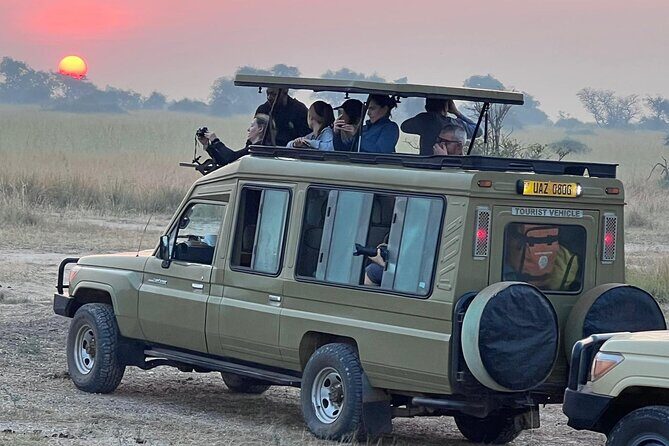9 Days Uganda Wildlife Safaris, Gorilla Trekking & Hiking - An In-Depth Look at the 9-Day Uganda Safari Experience