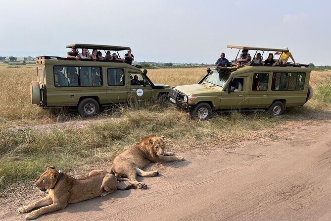 9 Days Uganda Wildlife Safaris, Gorilla Trekking & Hiking - Authentic Experiences and Guides