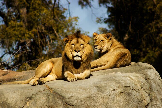 9 Days Uganda Wildlife Safaris, Gorilla Trekking & Hiking - Final Words