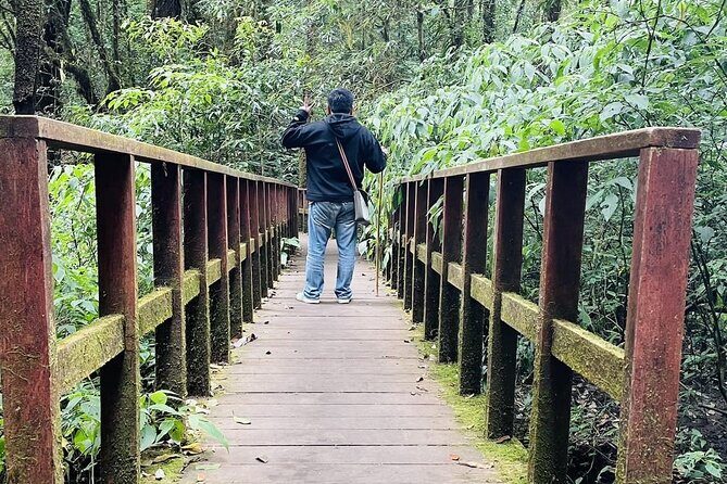 9 Hours Nature Tour in Inthanon National Park From Chiang Mai - A Deep Dive into the Itinerary