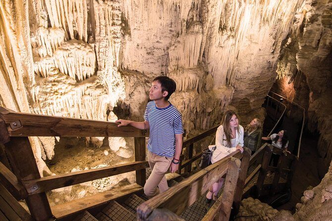 90-Minute Guided Ruakuri Cave Tour Waitomo - Key Points  