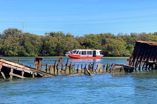 90 Minute Port River Dolphin & Ships Graveyard Cruise - The Itinerary: What to Expect