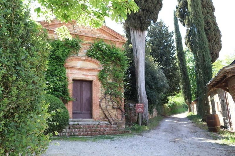 A 16th-century farmhouse between the Crete Senesi and Val d'Orcia, a tour through history and wine. - Final Thoughts