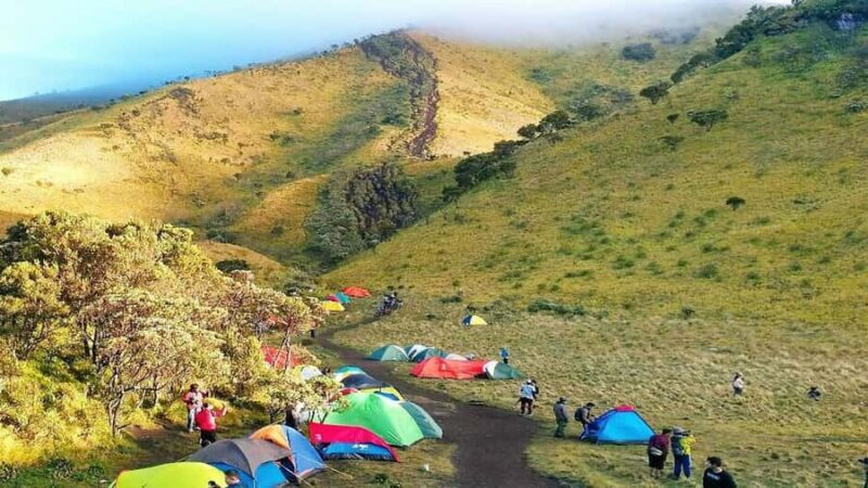 A 2D1N Camping Hike and Tour of Mt. Merbabu and Borobudur - Experience the Beauty of Indonesia with a 2D1N Camping Hike and Tour of Mt. Merbabu and Borobudur
