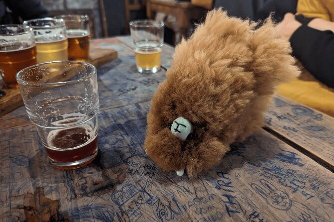 a-3-days-tour-of-belgium-and-netherlands-from-paris