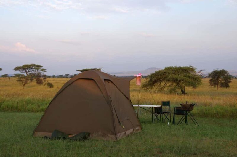 A 4-Days Budget Camping Safari from Arusha - Authenticity and Real Experiences