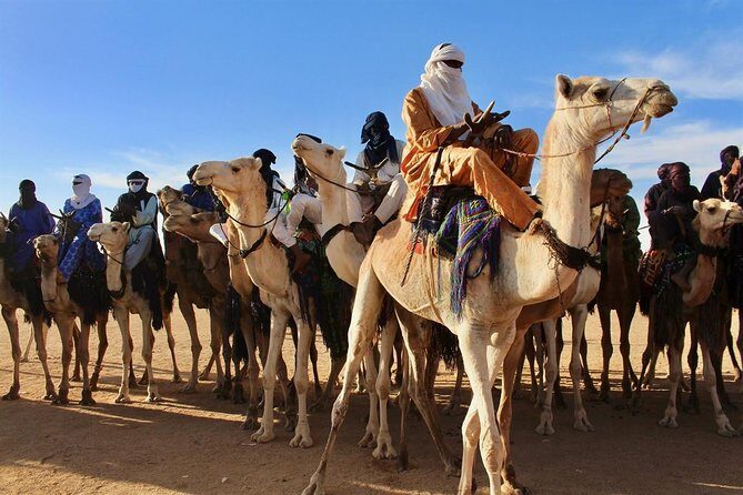 A 5-Day Cultural and Wildlife Adventure in Niamey - Price and Value