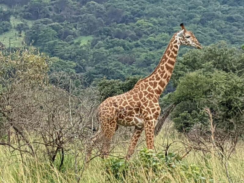 A 8-day exposure across Rwanda and Uganda - The Depth of the 8-Day Journey