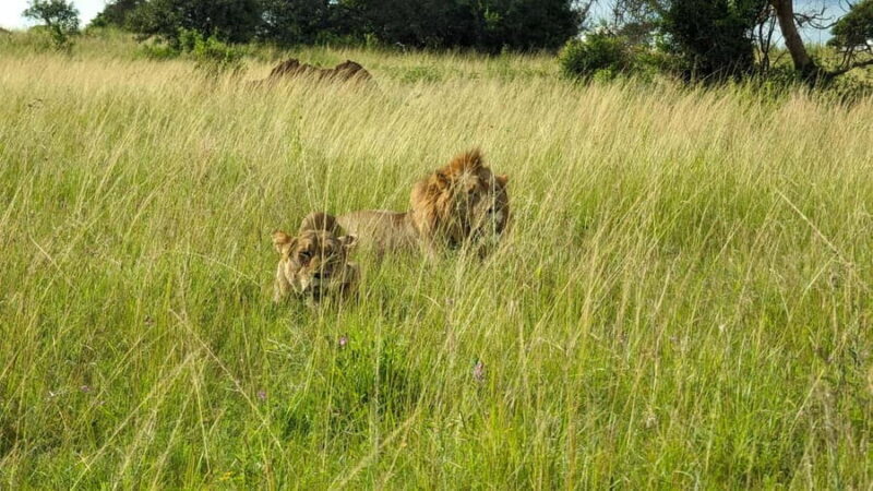 A 8-day exposure across Rwanda and Uganda - Who Would Love This Tour?