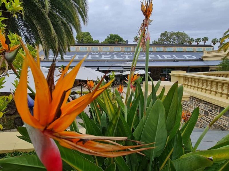 A Barossa Valley Private Tour for Four Guests: Local Pickup. - What to Expect in Terms of Timing and Practicalities