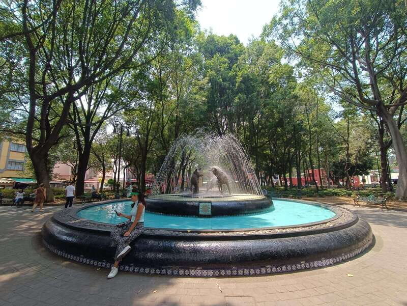 A Biking and Walking Tour of Coyoacán. - The Experience of Cycling in Mexico City
