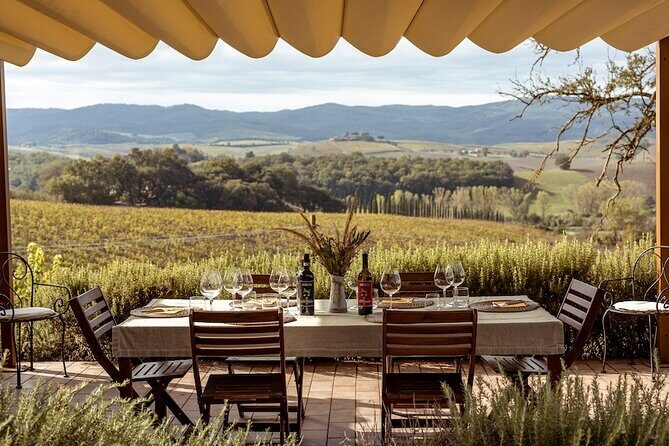 A Brunello Cooking Class with Vineyards View Winery - Final Thoughts