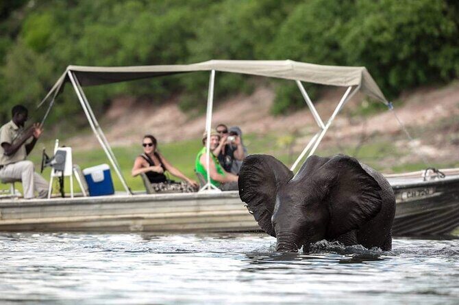 A Chobe Full Day Tour - Botwana - Final Thoughts