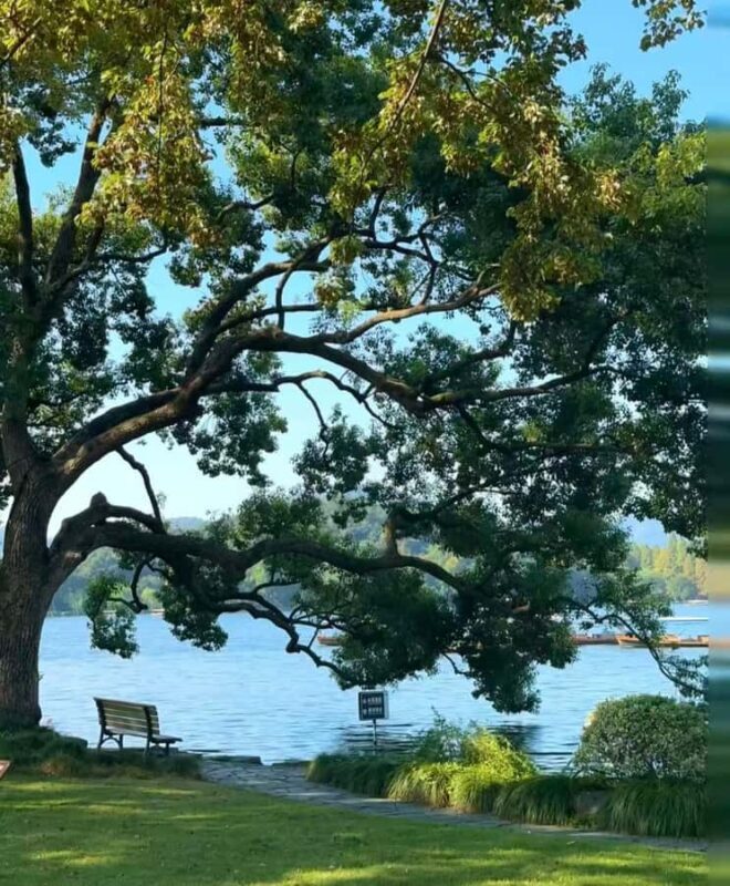 A classic half-day cruise on West Lake - Exploring the West Lake Experience