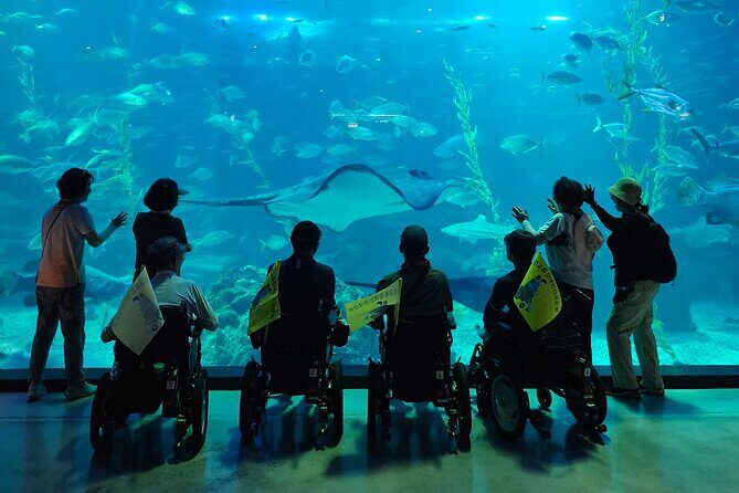 A comfortable wheelchair trip & east of Jeju - Why Choose the Jeju Wheelchair Tour?