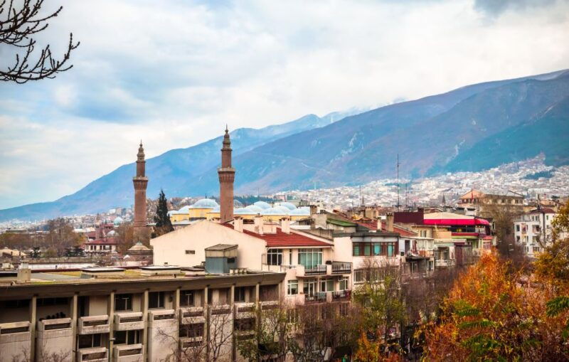 a-cultural-odyssey-exploring-the-heart-of-busra