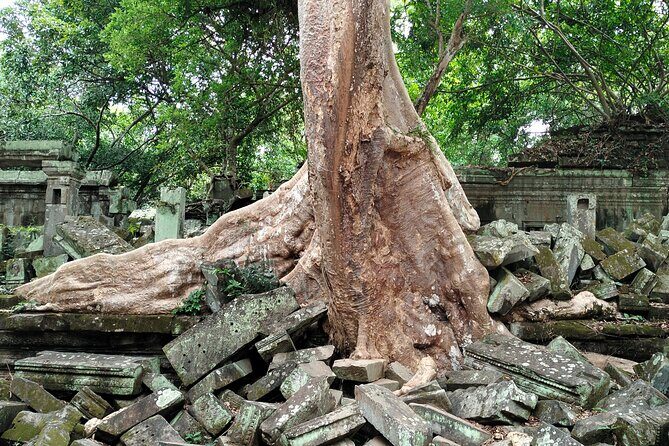 A Day Angkor Wat Sunrise Tour, Ta Prohm & Hidden Gems Beng Mealea - A Jungle-Set Marvel: Beng Mealea