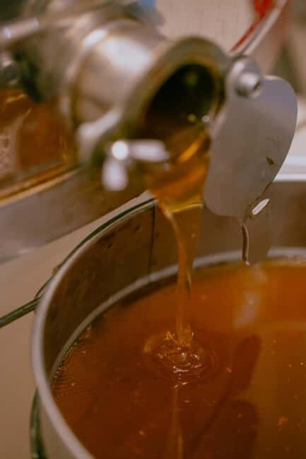 A day as a beekeeper: an adventure among mountains and nature - Key Points
