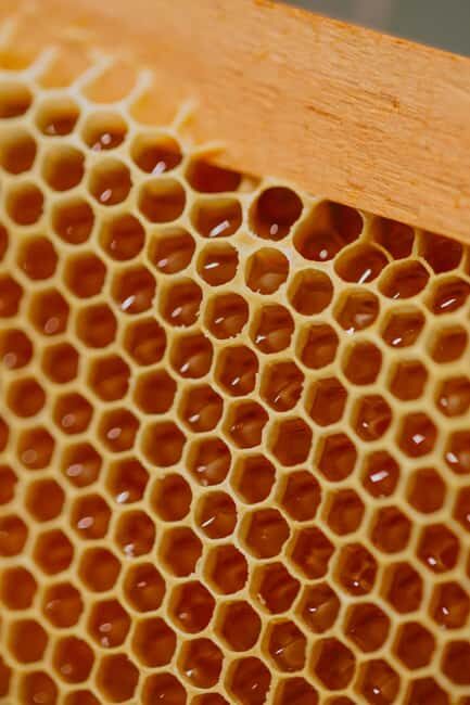 A day as a beekeeper: an adventure among mountains and nature - Exploring the Experience Step-by-Step